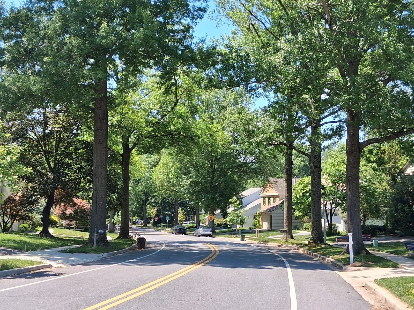 Mature shade trees over a quiet residential street in Fallsmead, Rockville