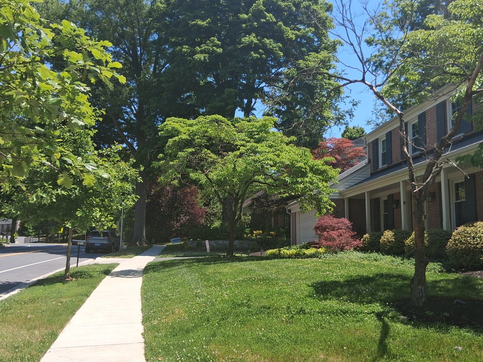 Open green space and shade trees among Fallsmead homes in Rockville