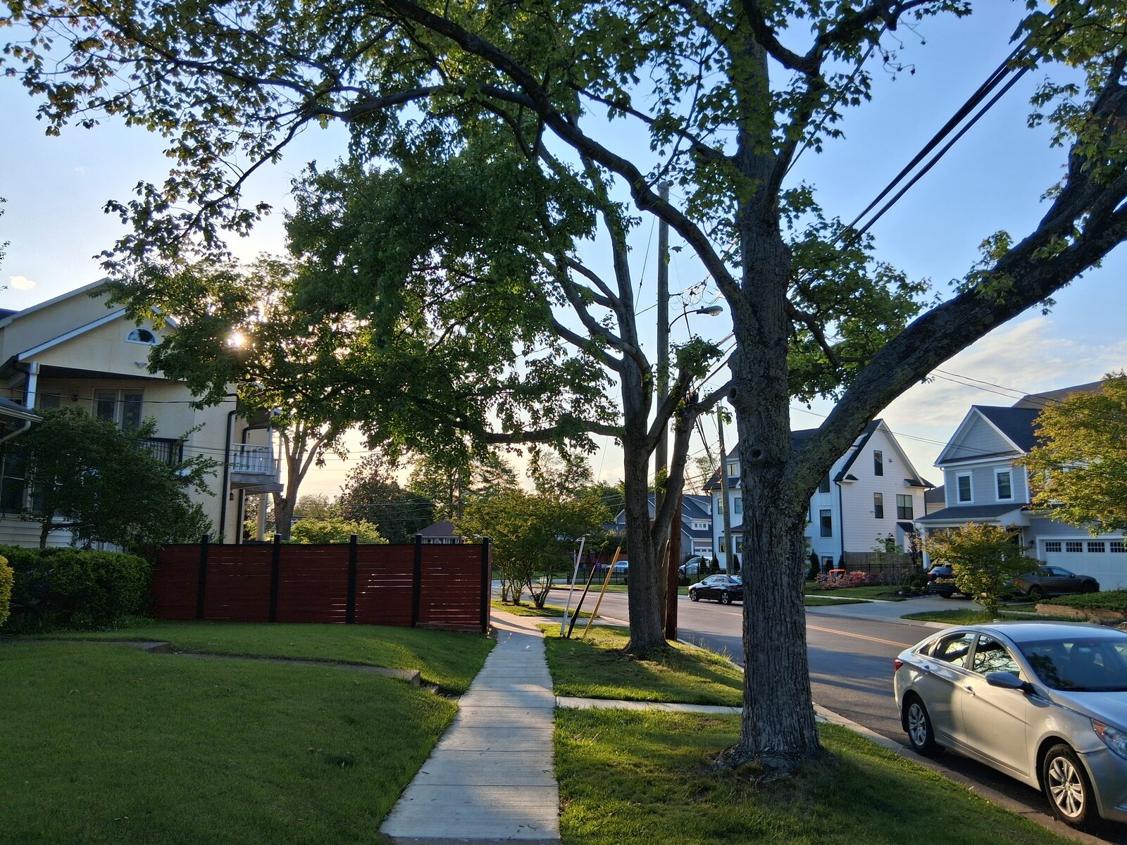 Sidewalk along Lone Oak Drive shaded by mature trees in Fernwood