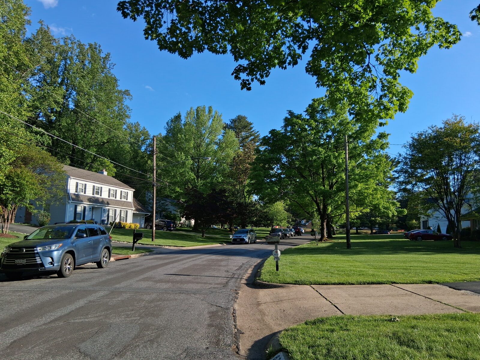 Tree-lined Newbold Drive in Fernwood with original and newer homes