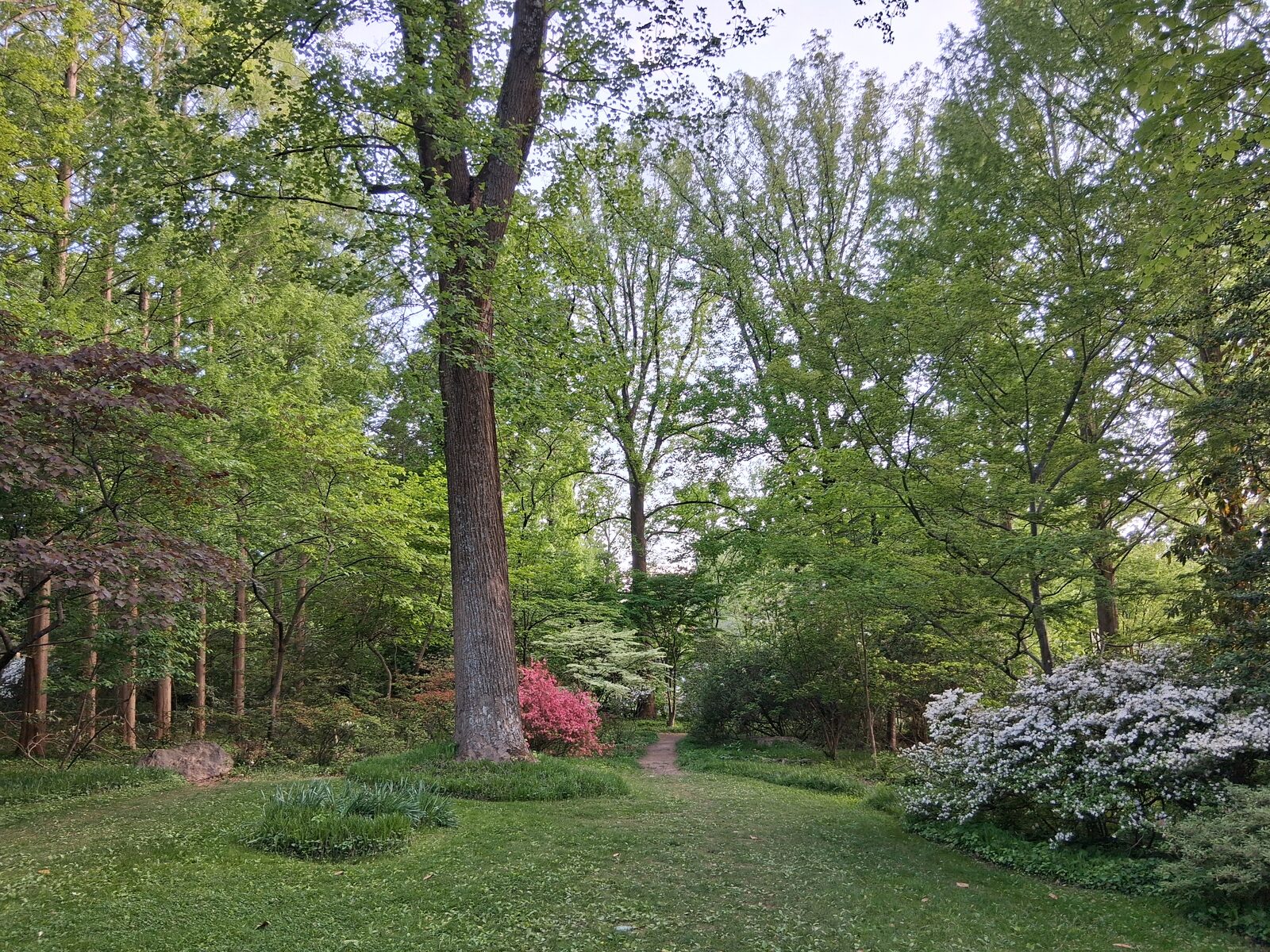 Open meadow at McCrillis Gardens, near Fernwood
