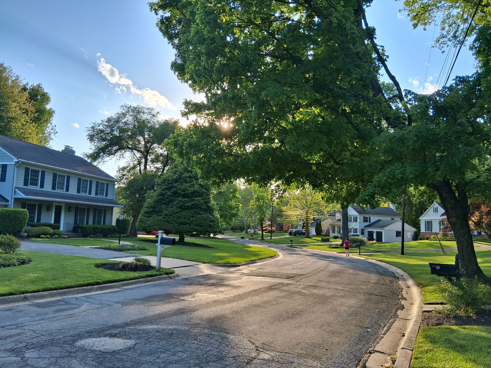 Late-day sun through the tree canopy on a Fernwood street