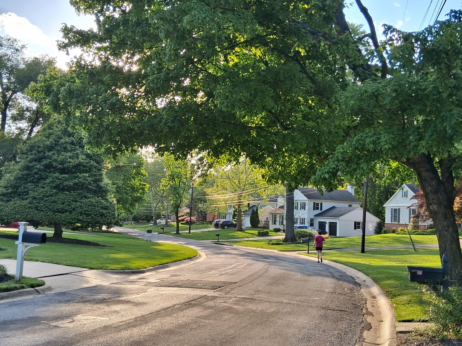 Curving residential street in Fernwood