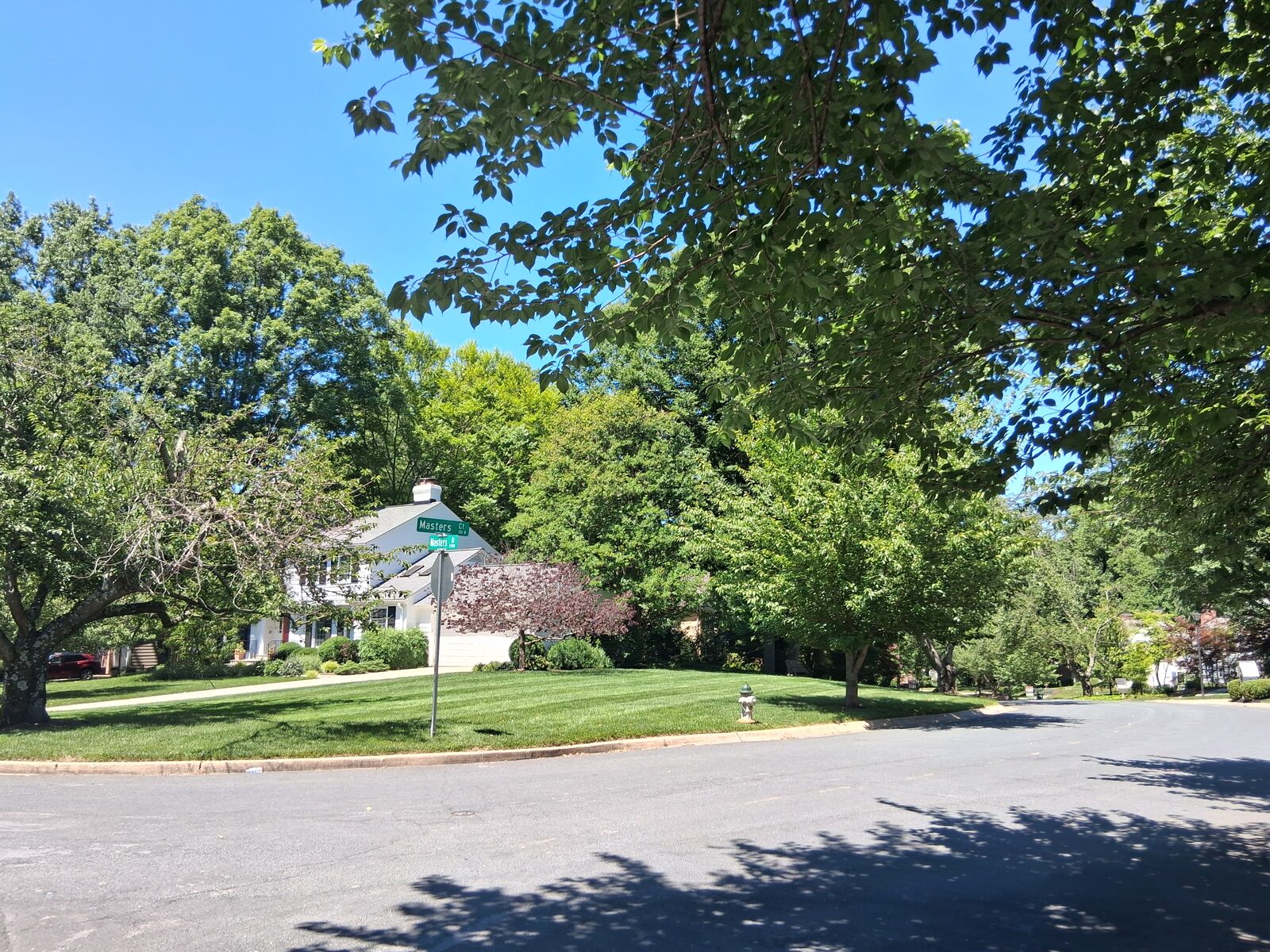 Residential streetscape with homes set among mature trees in River Falls, Potomac