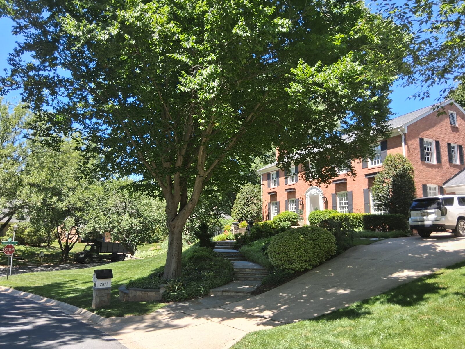 Brick colonial home set behind mature trees in River Falls, Potomac