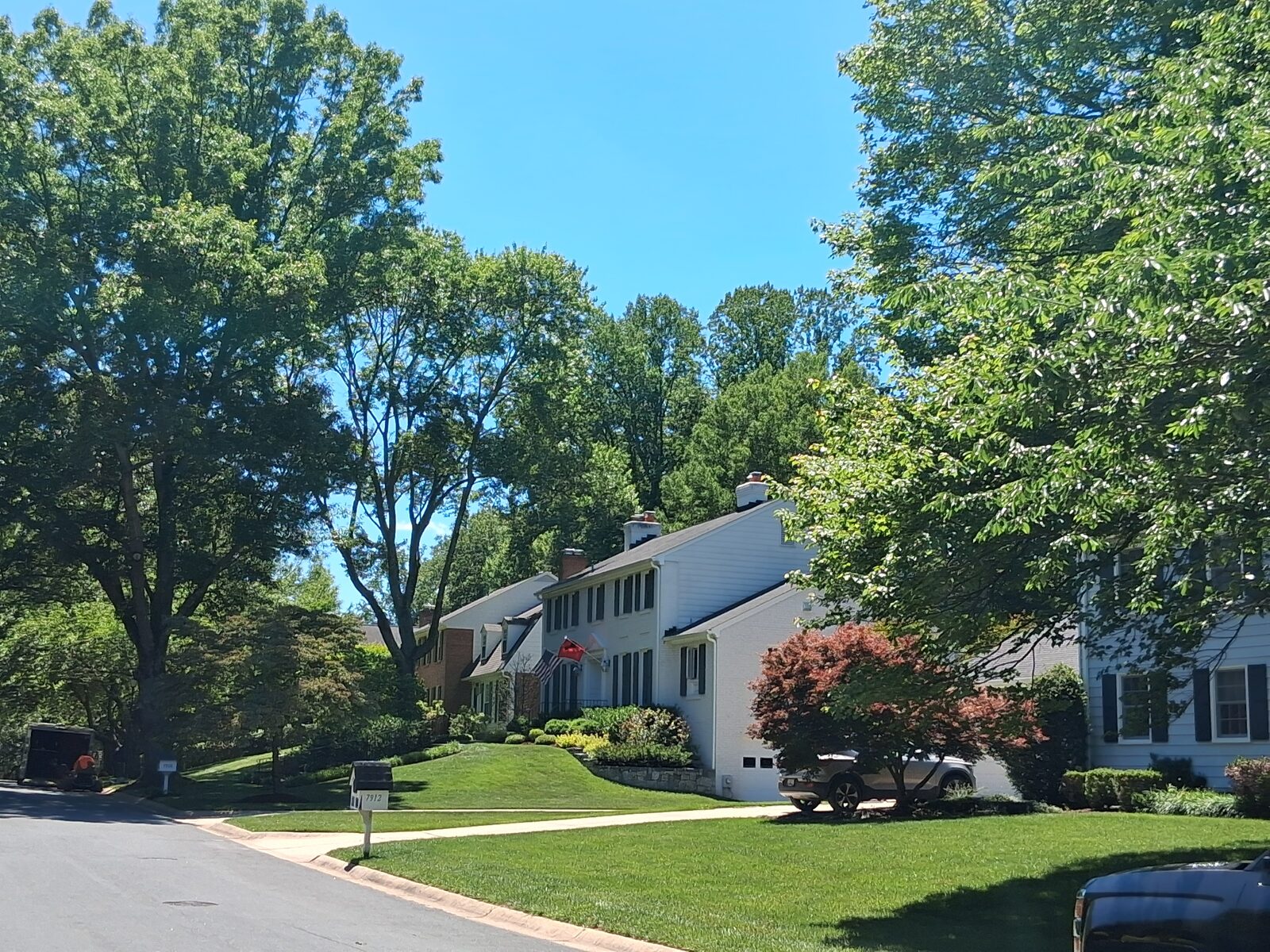 Colonial homes along a shaded street in River Falls, Potomac