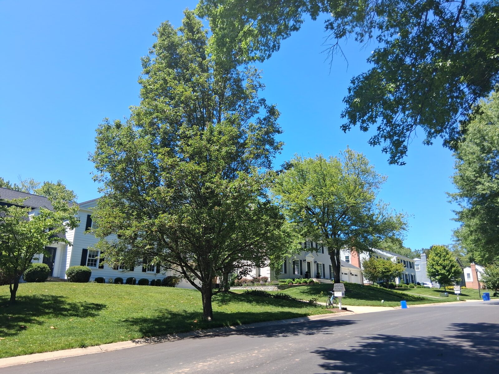 White colonial homes along a residential street in River Falls, Potomac